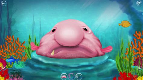 blobfish game|Iba pa.